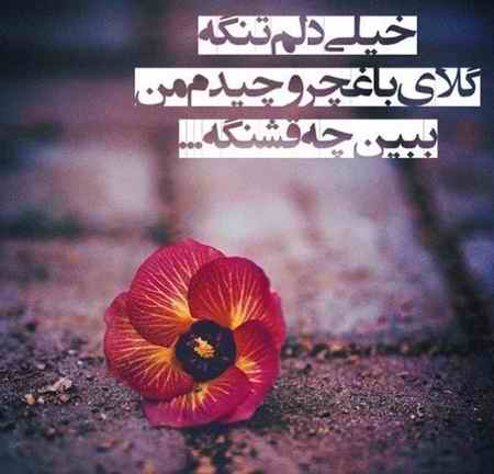 دانلود آهنگ مسیح و آرش ای پی آرومه دل دانلود آهنگ مسیح و آرش ای پی آرومه دل
