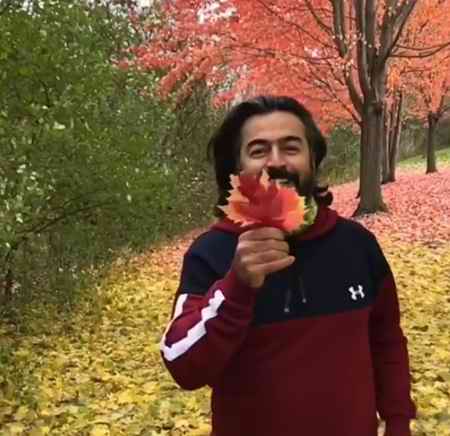 دانلود آهنگ پرواز همای غم کهنه