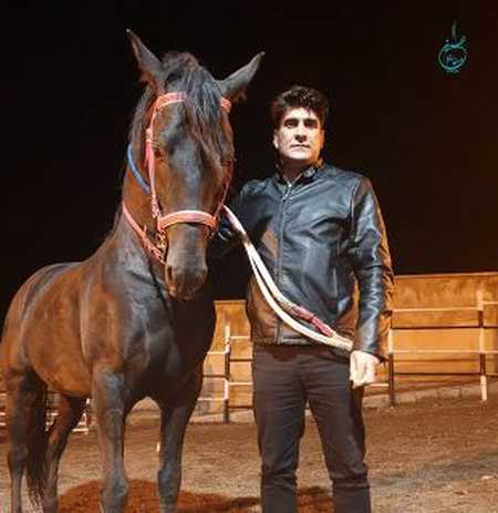 دانلود آهنگ حسین صفامنش خانمی