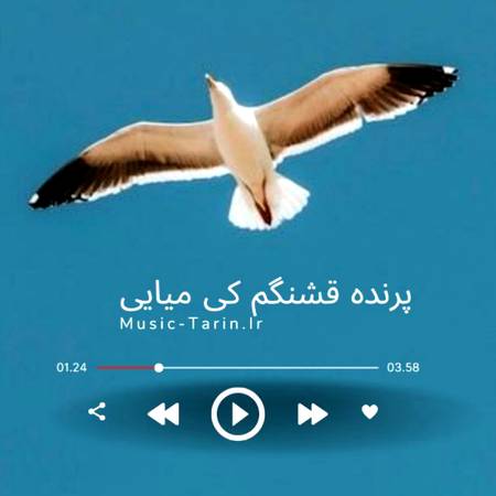 دانلود آهنگ پرنده قشنگم کی میایی